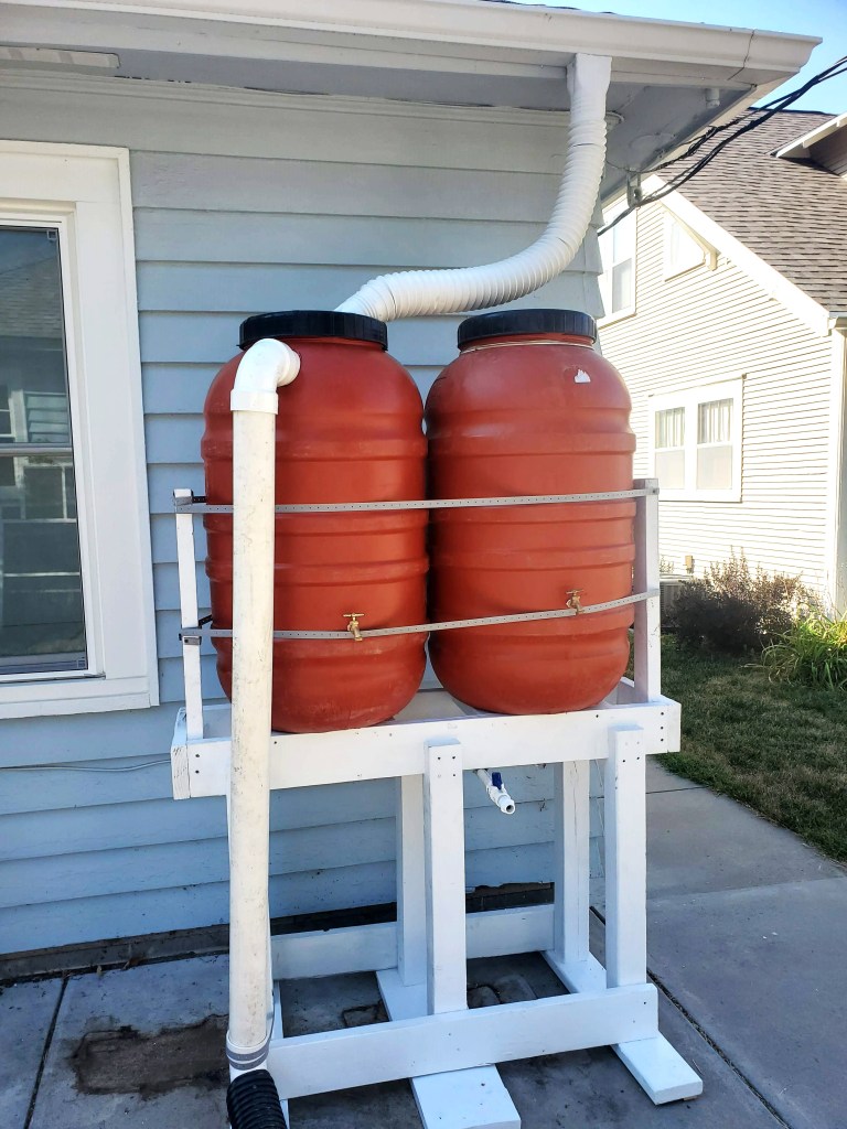 A rainwater collection array constructed out of barrells.